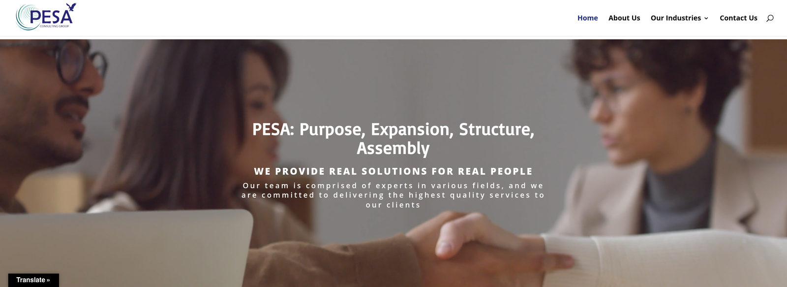 PESA Group project screenshot