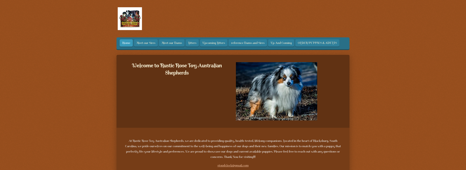 Rustic Rose Toy Australian Shepherds project screenshot