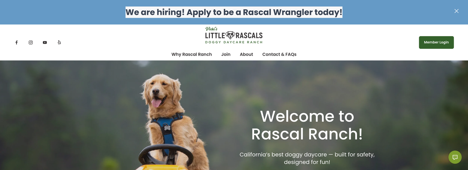 Vicki’s Little Rascals project screenshot